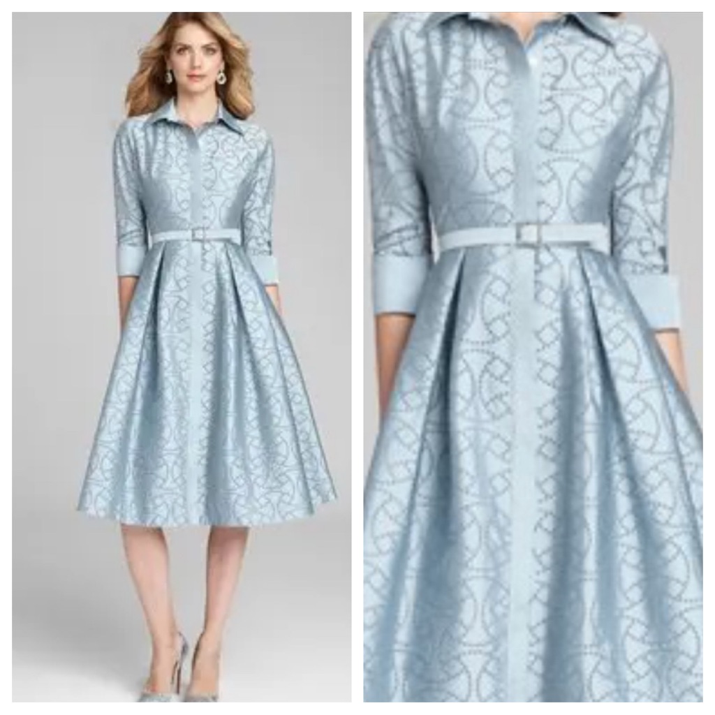 New! Taffeta Shirt Dress By Teri Jon By Rickie Freeman